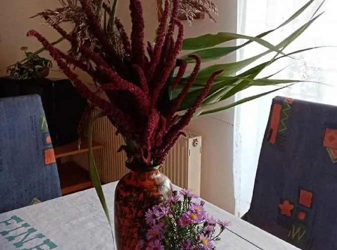 Kekturas-tora Nyilo Badacsonyi Privat Berlemeny Lägenhet Badacsonytomaj